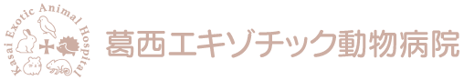 葛西エキゾチック動物病院