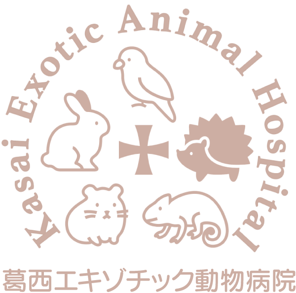 葛西エキゾチック動物病院